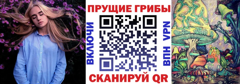 Псилоцибиновые грибы Psilocybine cubensis  Бородино 